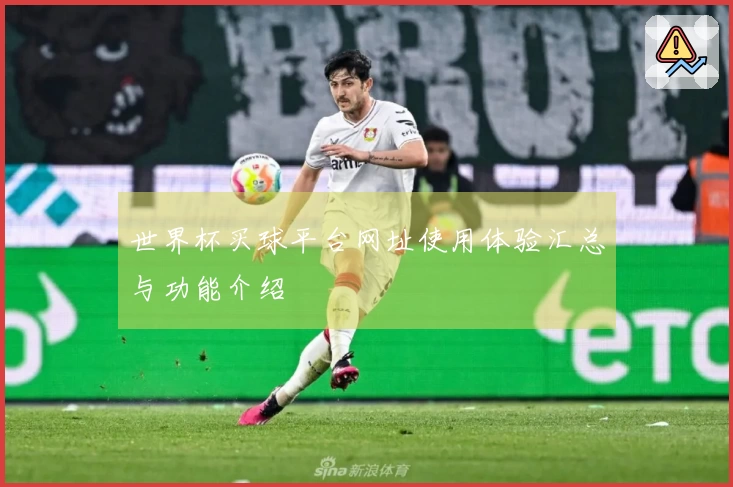 世界杯买球平台网址使用体验汇总与功能介绍