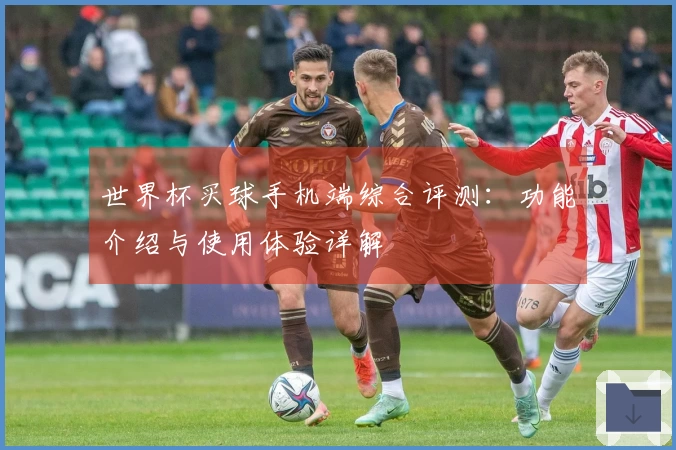 世界杯买球手机端综合评测：功能介绍与使用体验详解