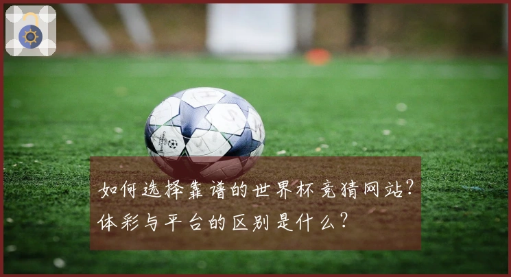 如何选择靠谱的世界杯竞猜网站？体彩与平台的区别是什么？