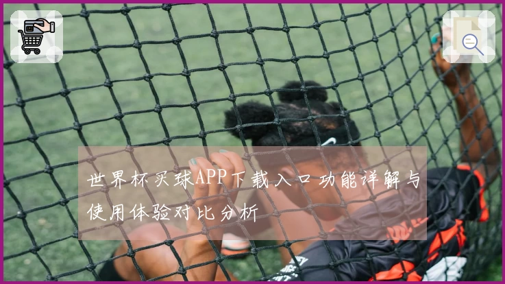世界杯买球APP下载入口功能详解与使用体验对比分析