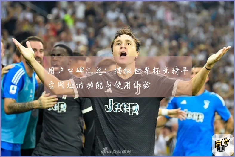 用户口碑汇总：揭秘世界杯竞猜平台网址的功能与使用体验