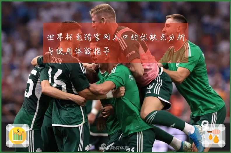 世界杯竞猜官网入口的优缺点分析与使用体验指导