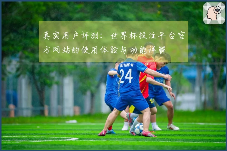 真实用户评测：世界杯投注平台官方网站的使用体验与功能详解