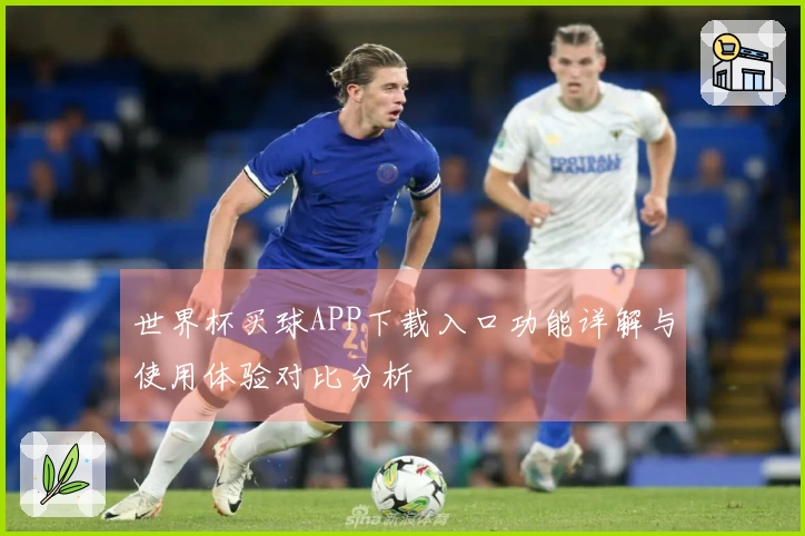 世界杯买球APP下载入口功能详解与使用体验对比分析