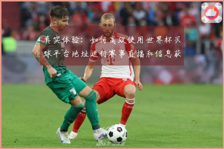 真实体验：如何高效使用世界杯买球平台地址进行赛事直播和信息获取