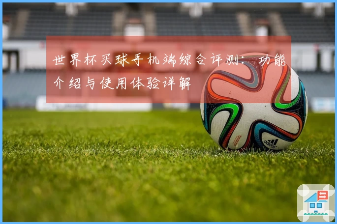 世界杯买球手机端综合评测：功能介绍与使用体验详解