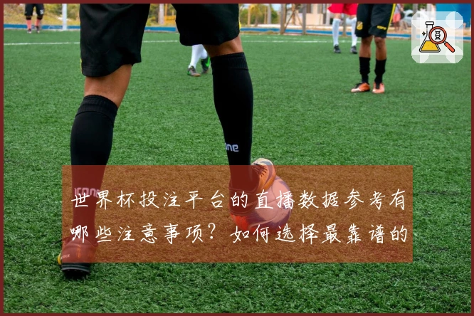 世界杯投注平台的直播数据参考有哪些注意事项？如何选择最靠谱的渠道？